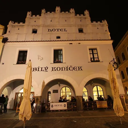 Hotel Bílý Koníček