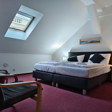 Bily Konicek 3* トレボン