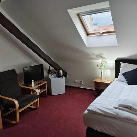 Bily Konicek 3* トレボン