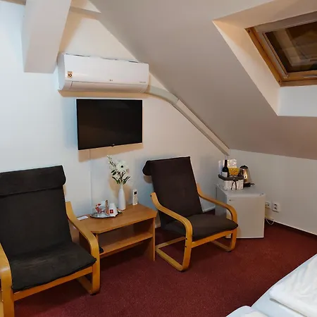 Hotel Bílý Koníček