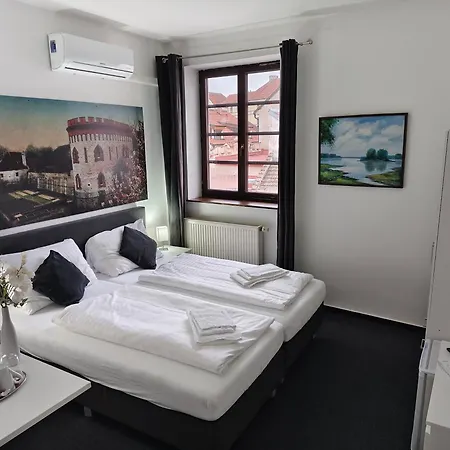 Bily Konicek トレボン