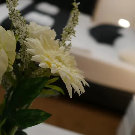 ホテル Bily Konicek トレボン