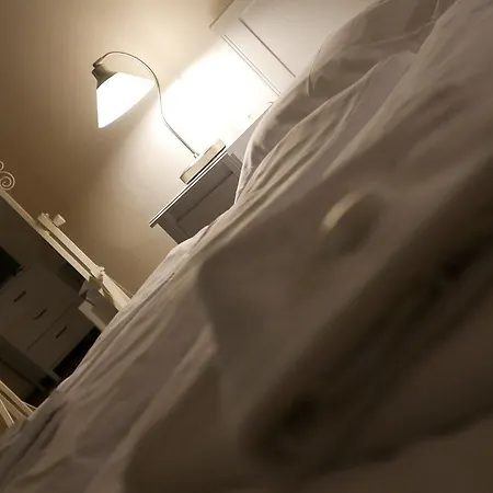 ホテル Bily Konicek トレボン