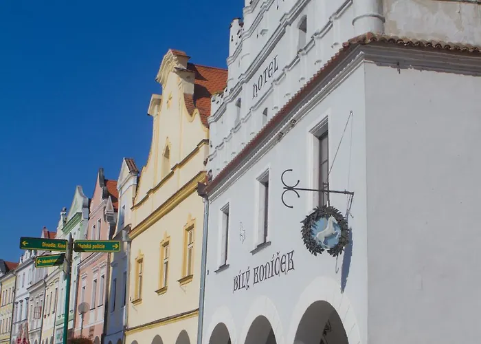 Bily Konicek Třeboň