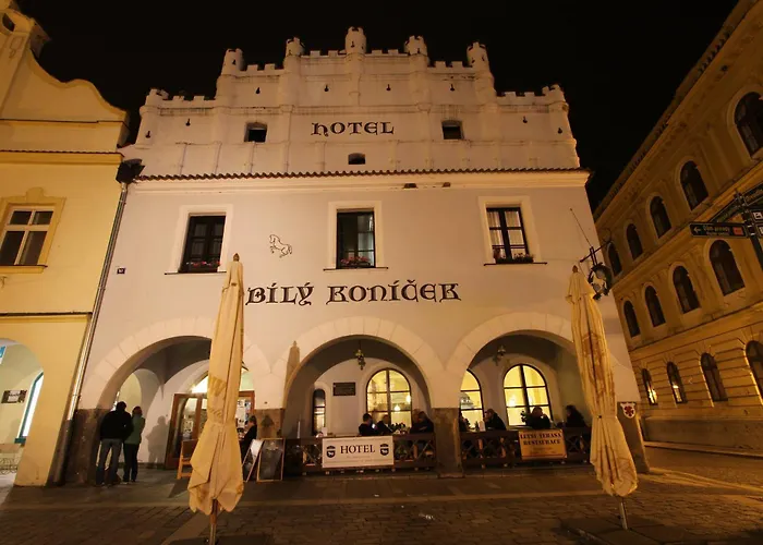 Hotel Bily Konicek