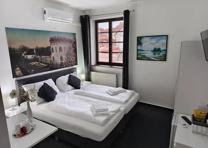 Bily Konicek Trzeboń